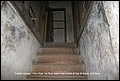 Carter_House_21.jpg